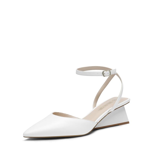 Pointed Toe Chunky Heel Pumps